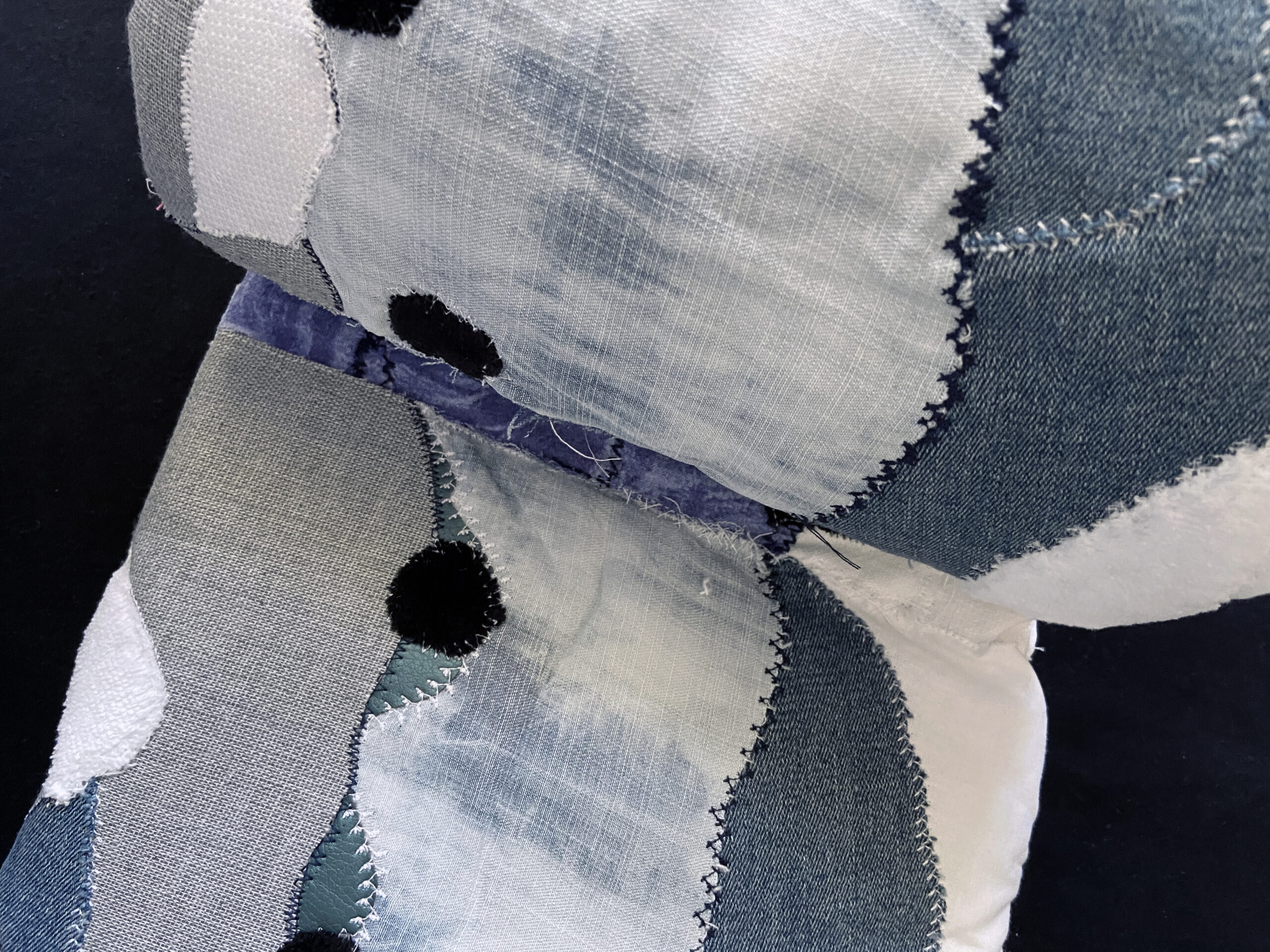 avalanche_jean